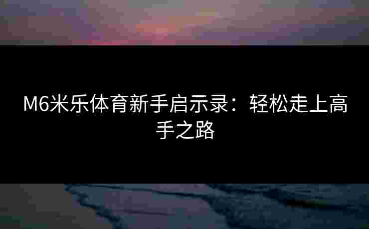 M6米乐体育新手启示录：轻松走上高手之路