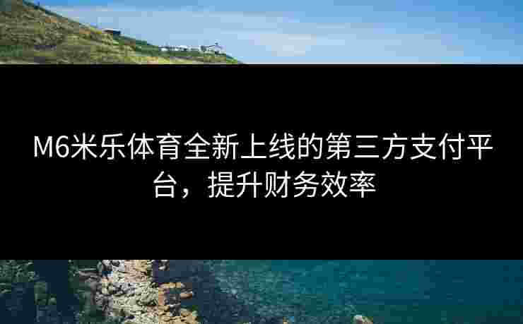 M6米乐体育全新上线的第三方支付平台，提升财务效率
