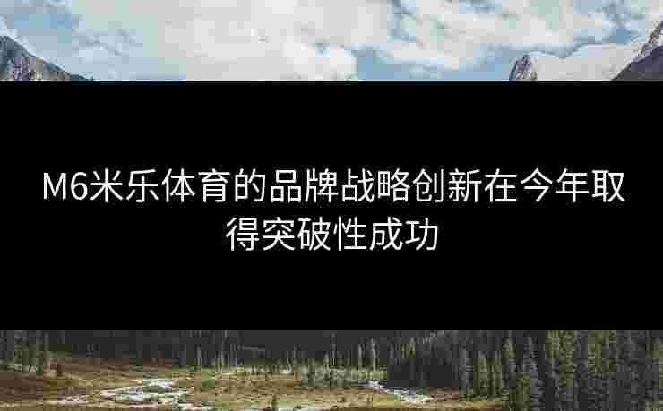 M6米乐体育的品牌战略创新在今年取得突破性成功