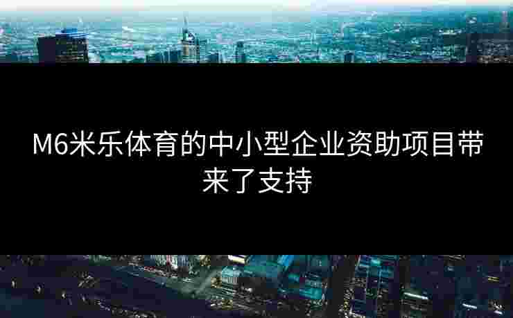 M6米乐体育的中小型企业资助项目带来了支持 M6米乐体育的中小型企业资助项目带来了支持